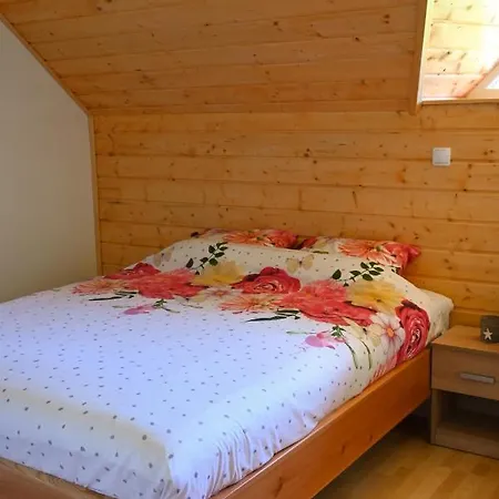 Holiday home Ranc Stojnsek Rogaska Slatina